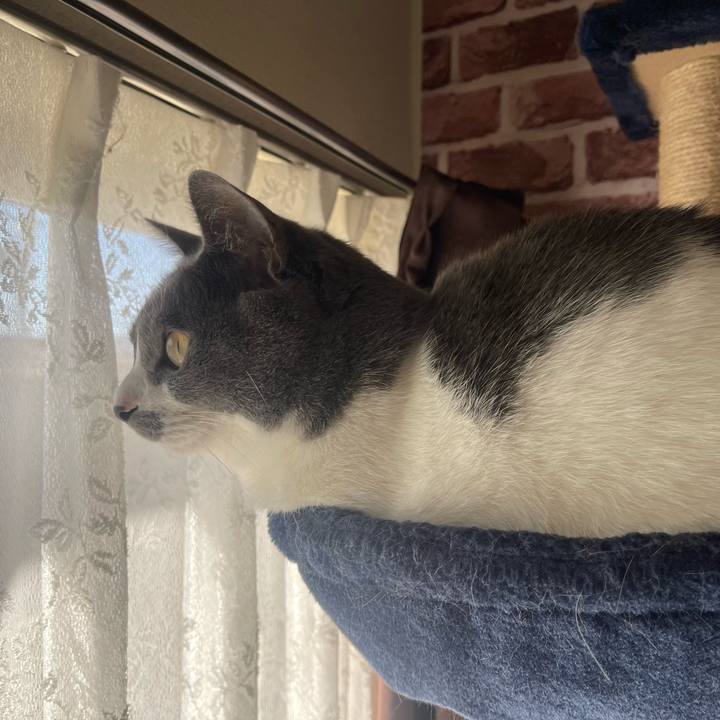 E52c80cd 3191 4934 af5c 976caaf93f9c 1675558280849