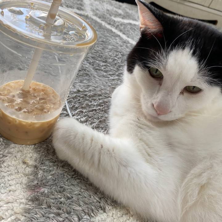 E52c9d3f 4518 488c a68f 34ccb04f4a6d 1645848105429