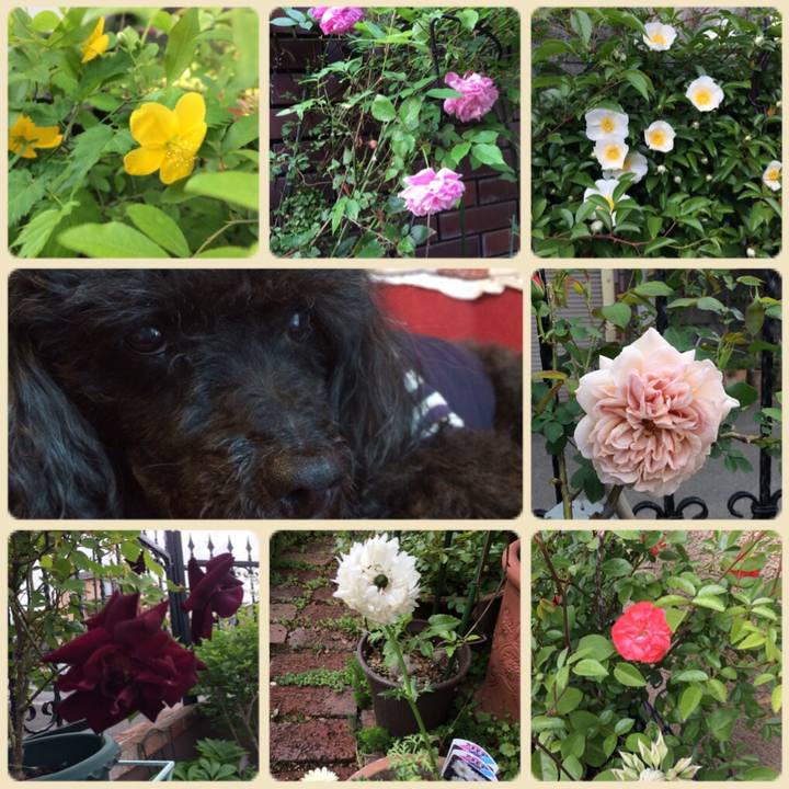 E52cb80f a7ba 425c 85ce 3009fa28987d 1523930162361