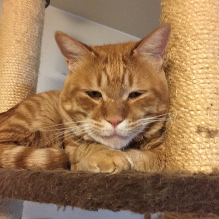 E52cba4a 99d5 4e70 a02a dec0d8f46d77 1563794073525