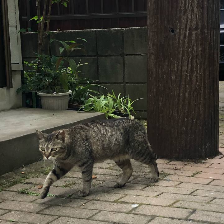 E52d308a ed27 4b0f b053 955516f50b83 1591258517858