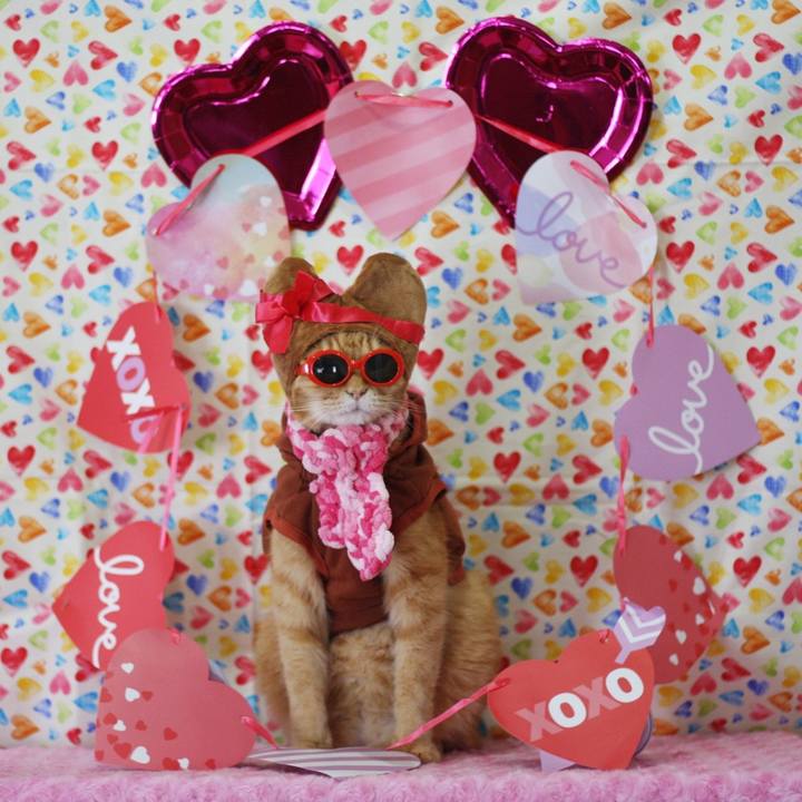 E52d5741 a72d 417e 9e2a 64deb768951a 1676002861240