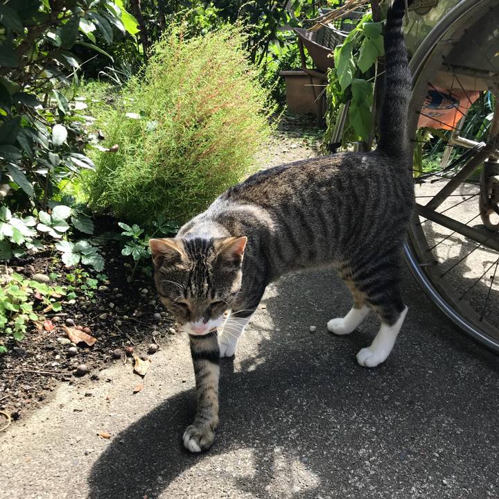 E52db318 ac71 4a3d bb4a 0f44ed19dbf4 1537965331698