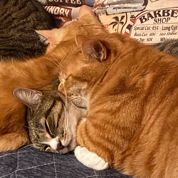 E52db350 b666 4b93 964d 8a58189aa941 1585418121113