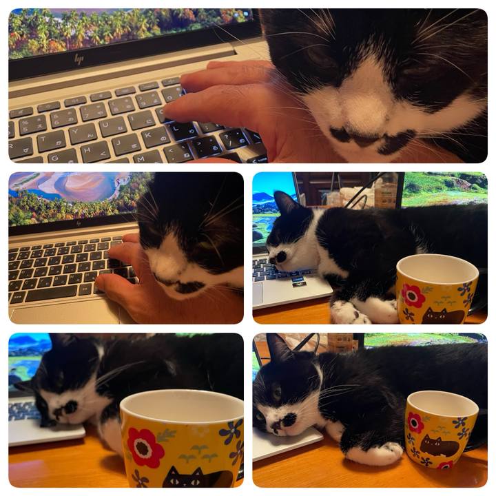 E52db6b0 e184 4556 a423 c4dbf02f5062 1755947141352