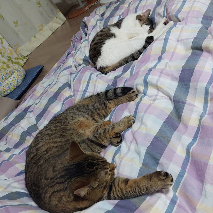 E52db8de a8e4 4610 9b1d 29a3880a1e6a 1633092672828