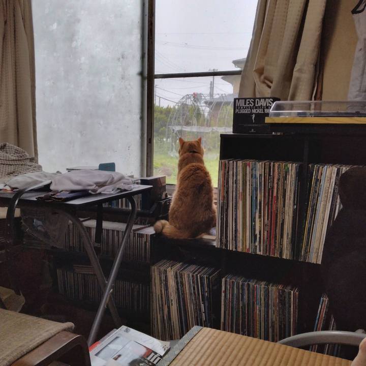 E52e00ef 9874 4915 8c4c a74e78df68e5 1720402912761