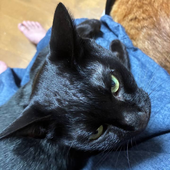 E52e2cb1 bc29 47df 90f8 88636cdc596d 1758972064497