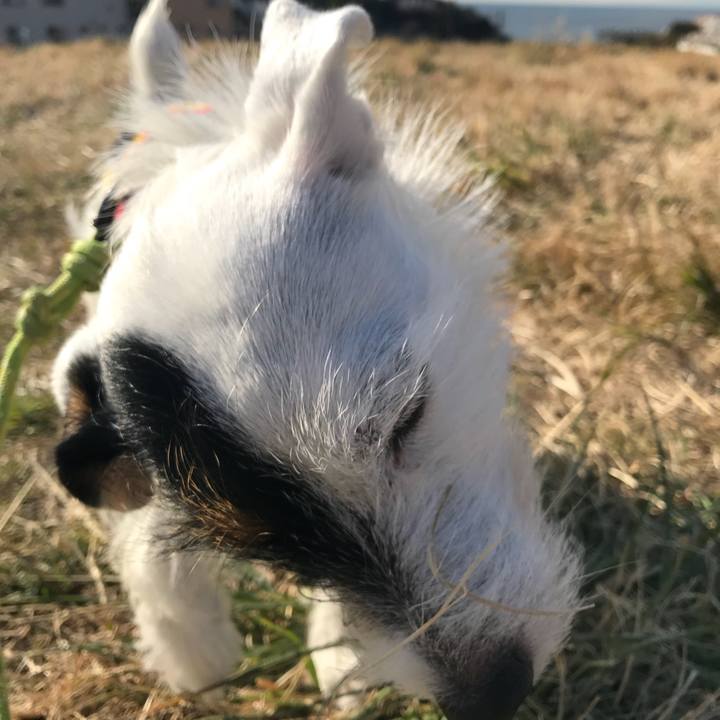 E52e4bf8 7f25 4d9d a663 ed7d3e40d055 1513733568463