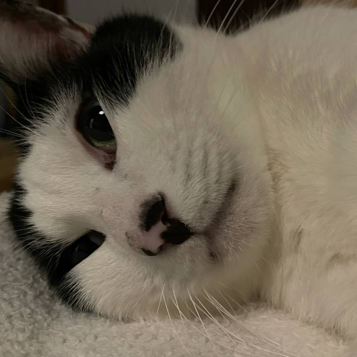 E52e5682 2292 43ae 8c26 5055a9f06a52 1640346025780