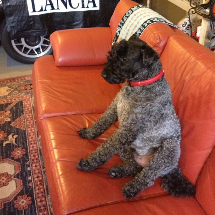 E52e5bce a94a 4d99 9b17 39c60e0d9271 1550452069341