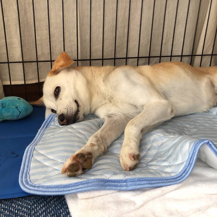 E52e60b7 036d 478c 8b07 dde0e3ad7c79 1629626169608