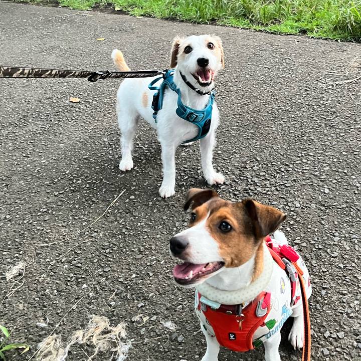 E52e7b08 e7b8 41d4 9203 a09bb6fd5577 1725320648917