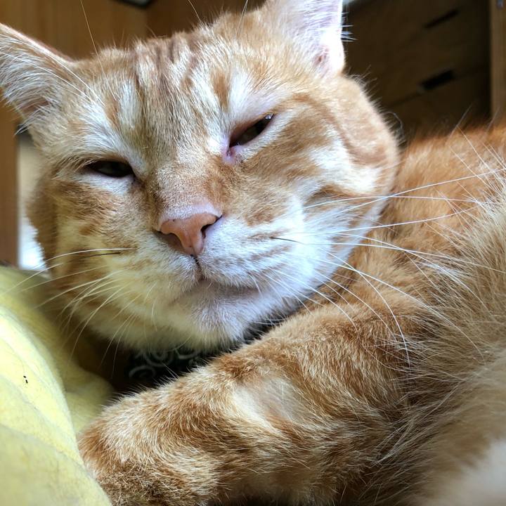 E52ebeea a736 4c05 bb6d b6fd01d4e4c3 1560551794796