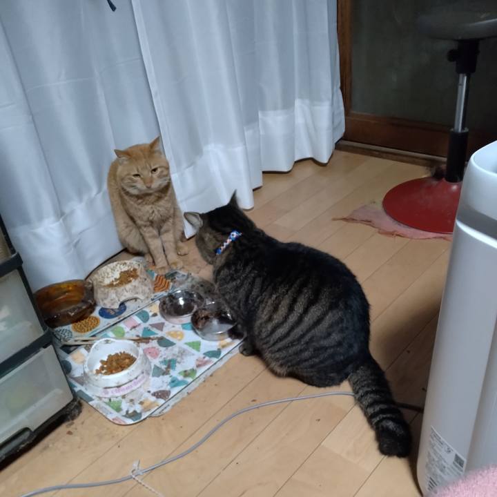 E52ede48 00f2 4c64 8fd3 6f1fac060081 1670627540213