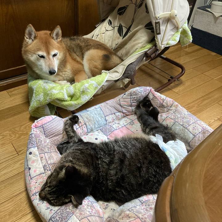 E52ee174 e62a 4d33 ab2e e34d8cb6ec81 1659855576564