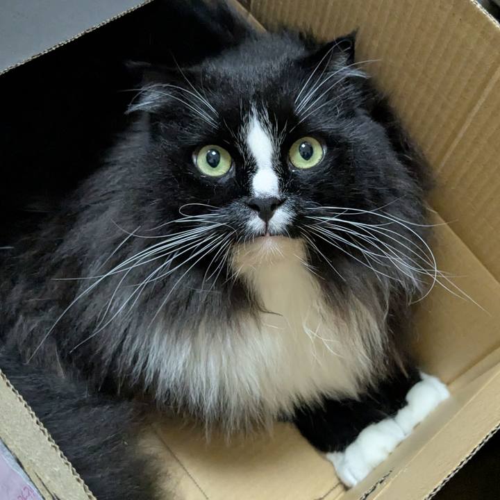 E52f14d7 d691 4fc2 b0b3 36fe777de30f 1757766905677