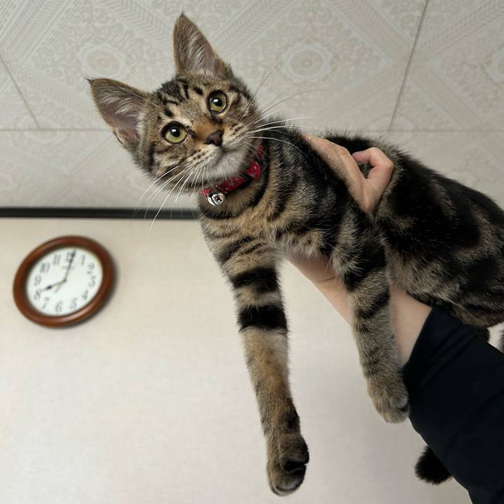 E52f356a d3fd 4ebb a80f a4ee5c595bc8 1728688484663