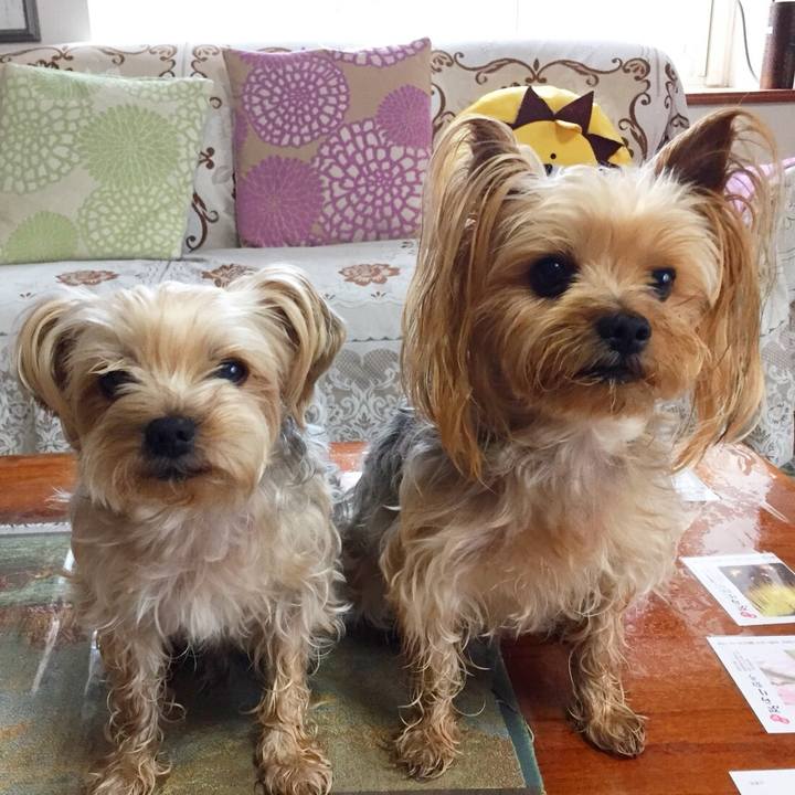 E52f5306 aa63 4d45 8b9b 5b37af7af87b 1524641148545