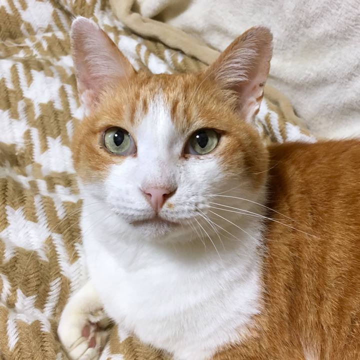 E52f9acb ec9e 4891 963f 91450a7e891e 1569566746218