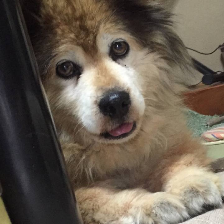 E52fb0d8 bfa0 4cf6 a4ee 39e8cff6e497 1562136854932