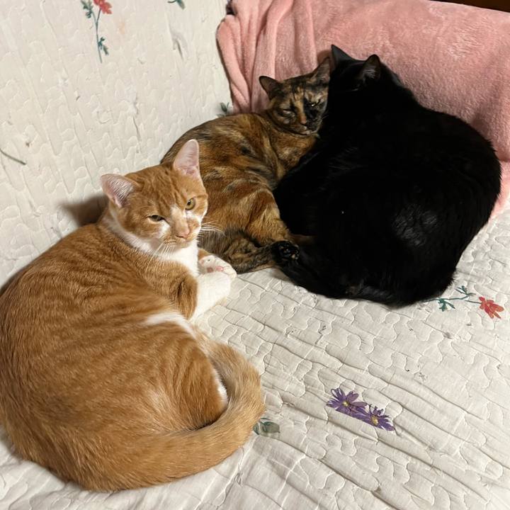 E52fbcf8 06b3 4985 baa9 1df77bdb9db6 1674114303998