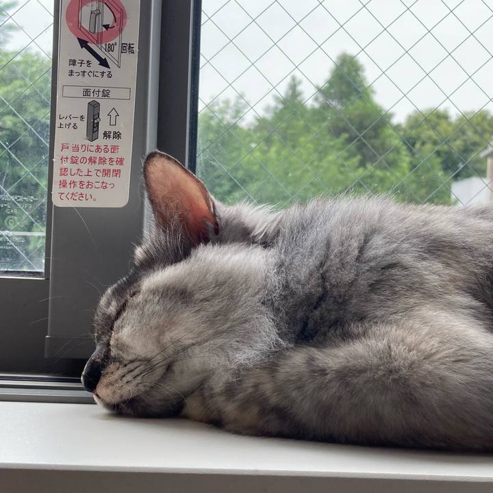 E52fbea8 12f0 4f99 b911 1a3de4b44e17 1749871673554