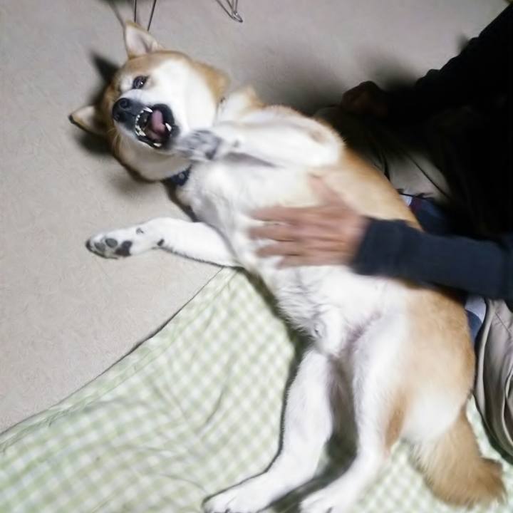 E52fc694 7ec5 46d6 b297 dc3ba497803c 1570541453105