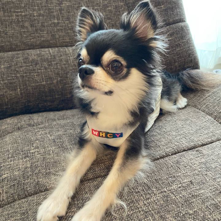 E5303b1c 630c 48fe 9c13 a0e9d31f9c63 1719679205889