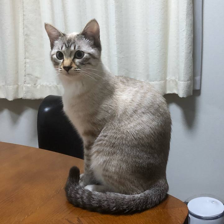 E5304046 16a2 4a93 a37c 463717bd3627 1613981582420