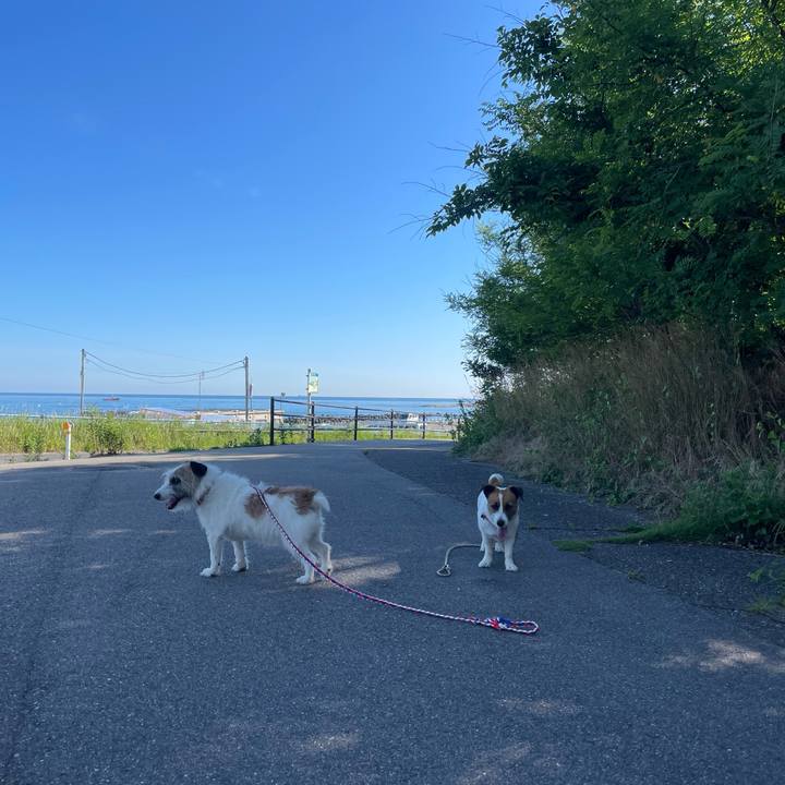 E5304dfc 8378 4ba0 8cbe 6bd4535f8d89 1719444031717