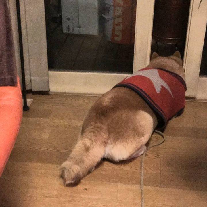 E5305d61 61a4 49d2 8eda 647d279fe233 1609410857861