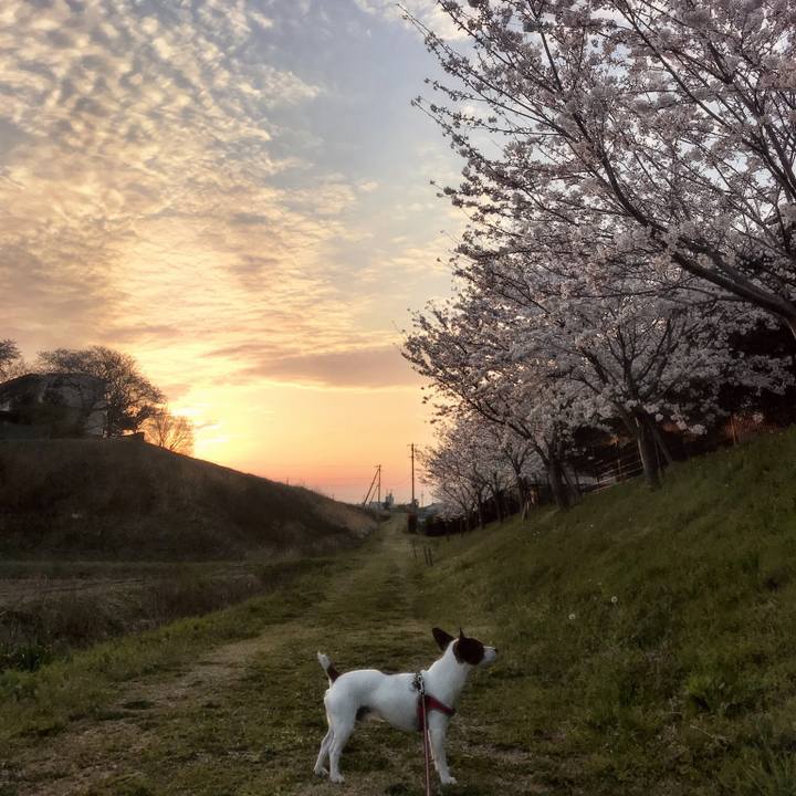 E5307089 b161 44dd a906 2e49c676e7de 1522149748687