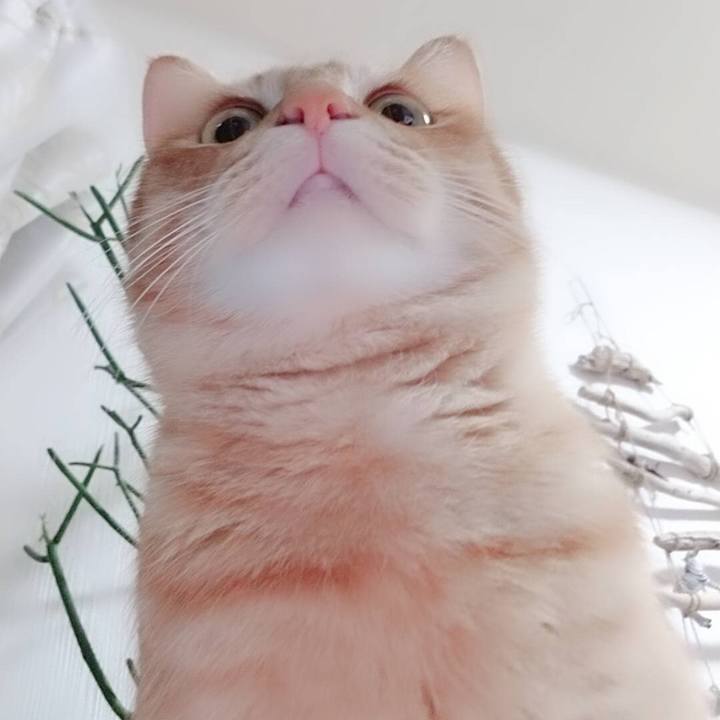 E53078c4 f23e 4eb3 a91e 8071a1b61ed9 1547115652661