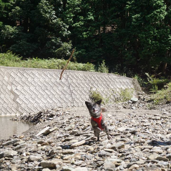 E53098a0 d0b1 4b87 9bfd e48263999475 1602377098060