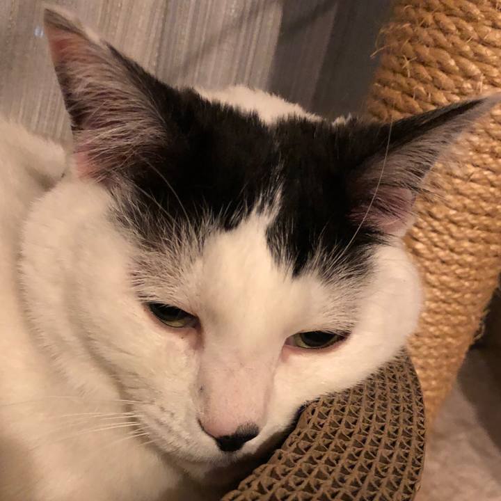 E530e42b 0e07 43bc a08c 3fa9b211261b 1524663605758