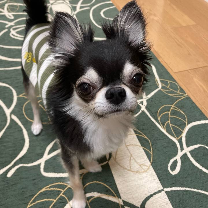 E53111fc b7f7 4e8d 8672 a064bb1e6aa0 1649598854123