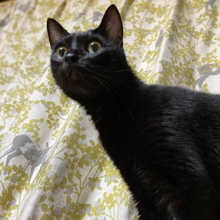 E5311d2c 6917 48d6 8e2d b29775050632 1662550841038