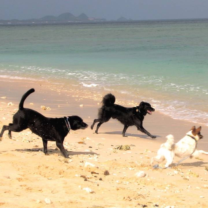 E5315f0f 4eeb 4a0a aea3 cbdefc473b00 1520743042620