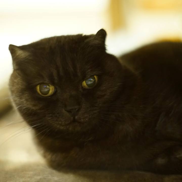 E531625e 21d7 4ef8 977d 8934f4af6b6d 1621436471857