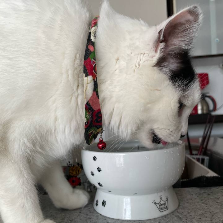 E5316ade b618 4c9b a102 837cf3c99cab 1647142442329