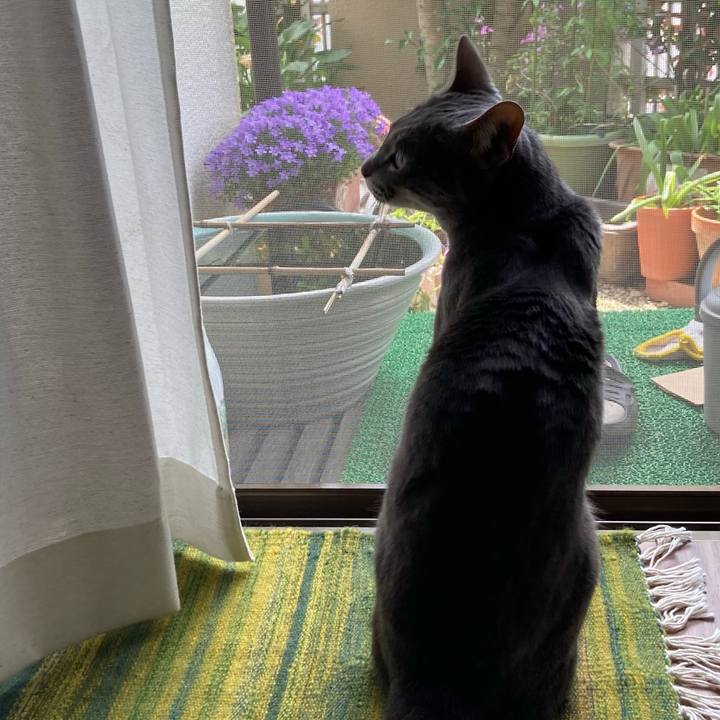 E531897f 9b69 492e 80f3 daf2761c44a9 1651717929966