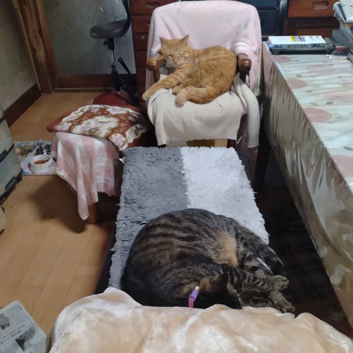 E5319619 f229 4ad6 8028 b03ec205b7e5 1666047859026