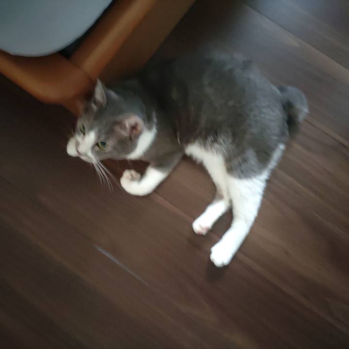 E531b80f a13c 4fcd 9ce2 d7e3da6b6ece 1661464103217