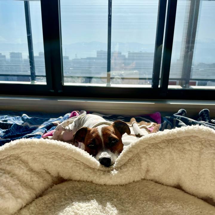 E531b8f5 4923 4675 a48a a8b272ec7153 1649458806474