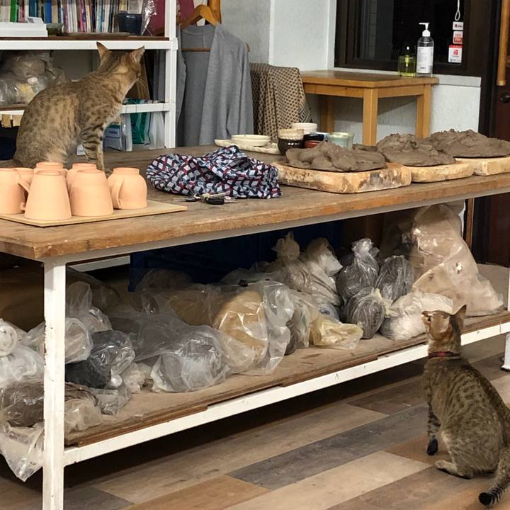 E531c223 e444 4e49 8627 29134fa60662 1596711310665