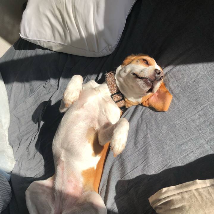 E531ce50 ee29 49b2 ab4c d5d08253618f 1643776500132