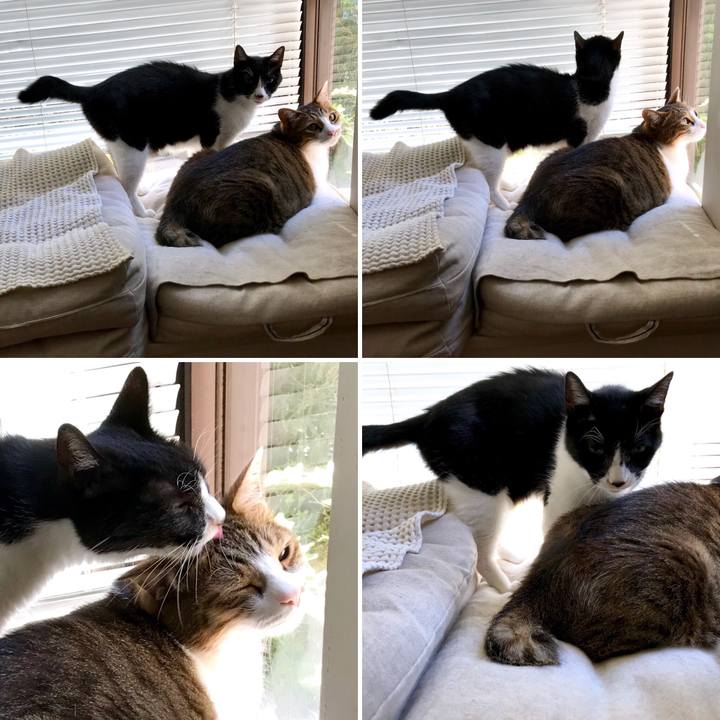 E531f6e3 6f34 4ee7 b437 5c899339cf34 1535604010000