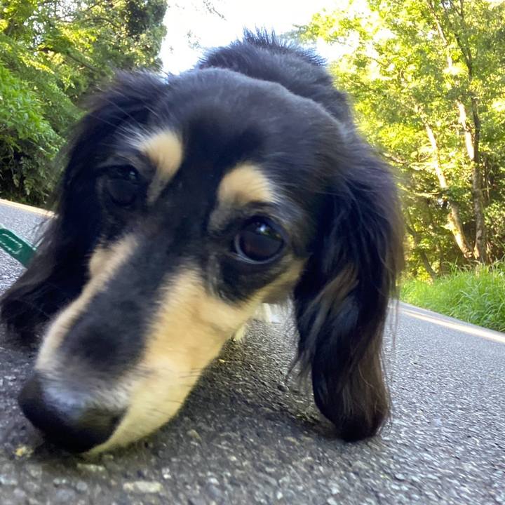 E53245bd 4828 4369 addc 73d433360e5e 1752971909464