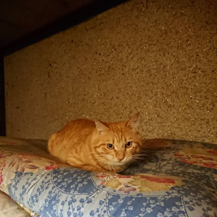 E5326469 0b61 4ecd bb63 8a544b6d3c64 1645708371304